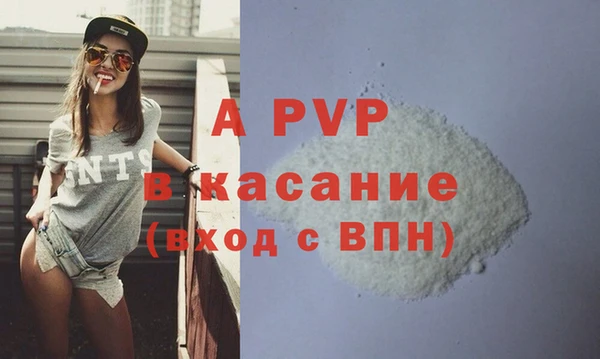 spice Богородск