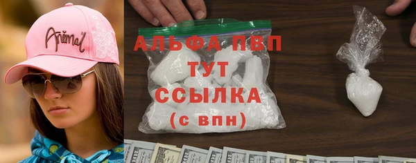 spice Богородск