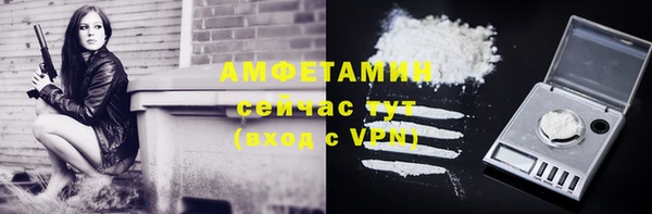 spice Богородск