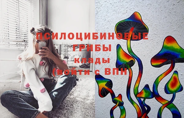 стаф Богородицк