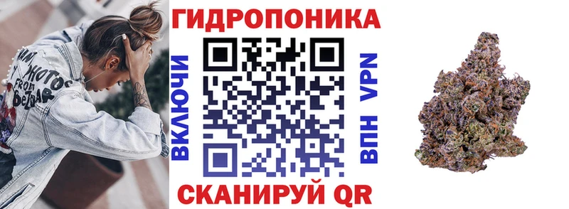 Купить  Волжск  Бошки марихуана ГИДРОПОН 